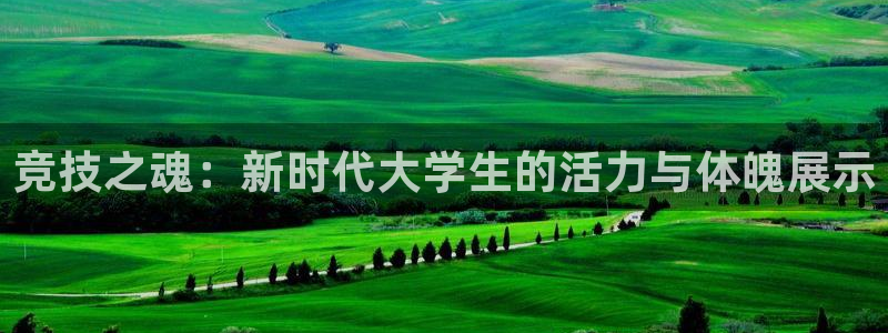 必一运动体育官网入口：竞技之魂：新时代大学生的活力与体魄展示