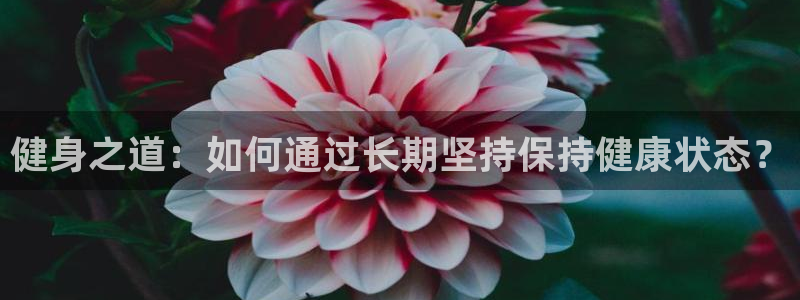 必一运动：健身之道：如何通过长期坚持保持健康状态？