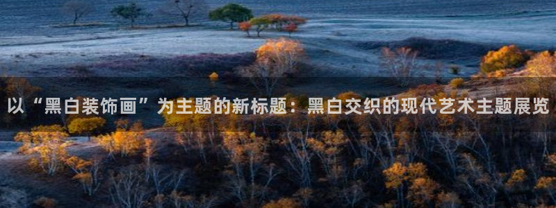 bsport必一运动：以“黑白装饰画”为主题的新标题：黑白交织的现代艺术主题展览