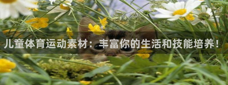 bsports必一运动：儿童体育运动素材：丰富你的生活和技能培养！