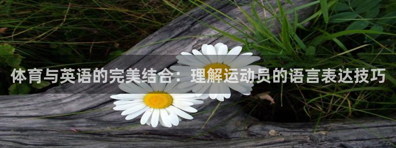 必一运动：体育与英语的完美结合：理解运动员的语言表达技巧