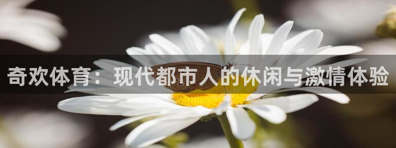 bsport必一运动：奇欢体育：现代都市人的休闲与激情体验