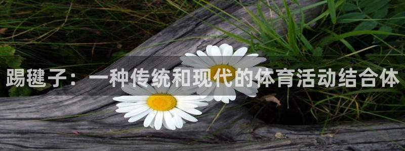 bsports必一运动：踢毽子：一种传统和现代的体育活动结合体