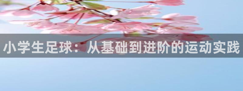 必一运动体育：小学生足球：从基础到进阶的运动实践