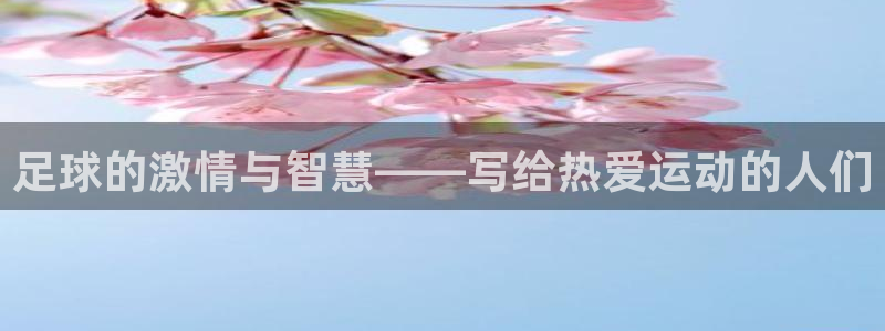 必一运动体育：足球的激情与智慧——写给热爱运动的人们