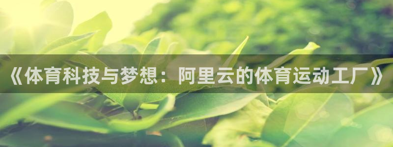 必一运动体育官网：《体育科技与梦想：阿里云的体育运动工厂》
