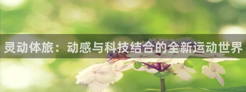 b体育必一运动官网：灵动体旅：动感与科技结合的全新运动世界